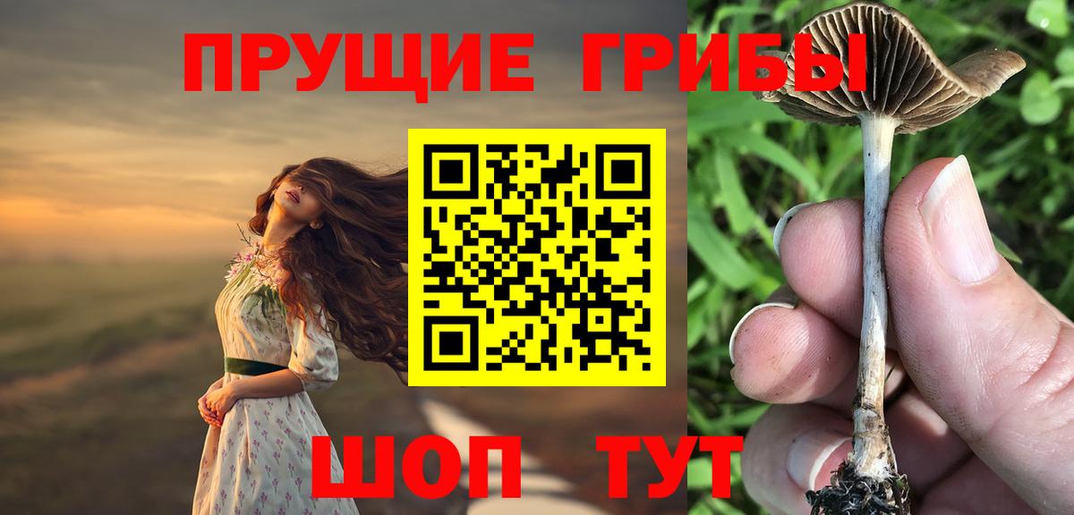 Псилоцибиновые грибы GOLDEN TEACHER Губаха