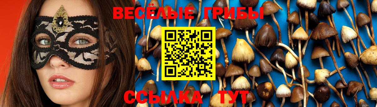 Губаха  Псилоцибиновые грибы Psilocybe  Вход с VPN 